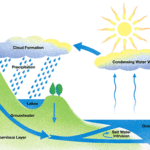diagram description 4 - the water cycle